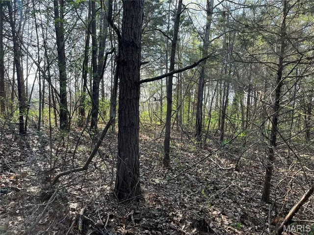 $74,900 | 10595 Southeast Mo-19, Cuba, MO 65453