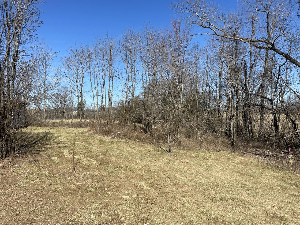 460 Lawless Cemetery Road Jamestown, KY 42629 - Photo 8 of 23 Exterior_Yard_3
