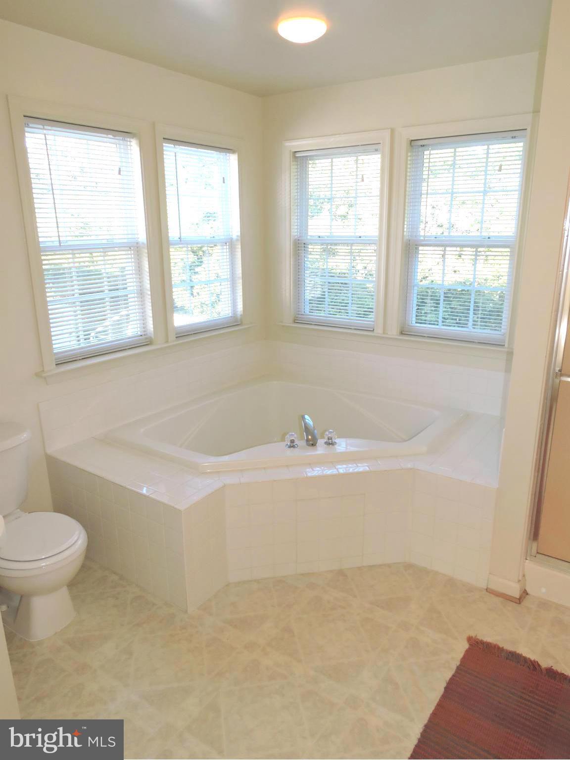 132 Ranson Estates Circle Ranson, WV 25438 - Photo 20 of 30 two person corner soaking tub for relaxing