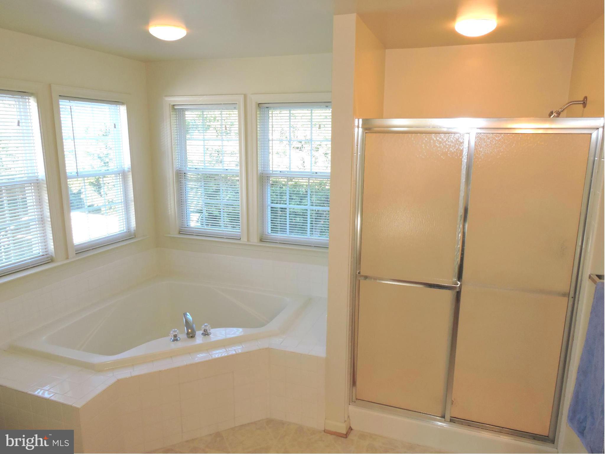 132 Ranson Estates Circle Ranson, WV 25438 - Photo 21 of 30 and a 4 ft shower w/glass doors for daily use.
