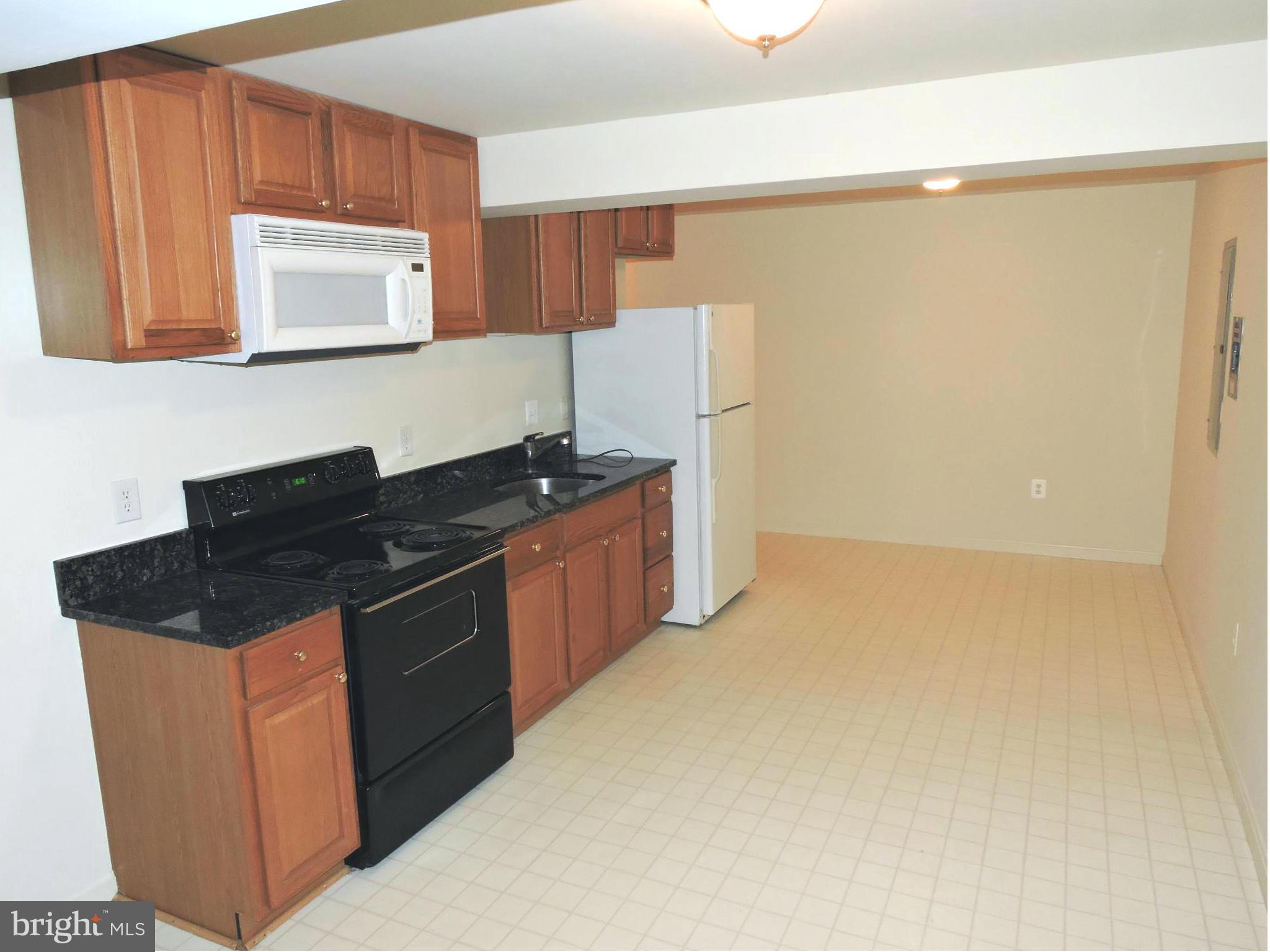 132 Ranson Estates Circle Ranson, WV 25438 - Photo 22 of 30 Downstairs there's a 2nd kitchen, a nice