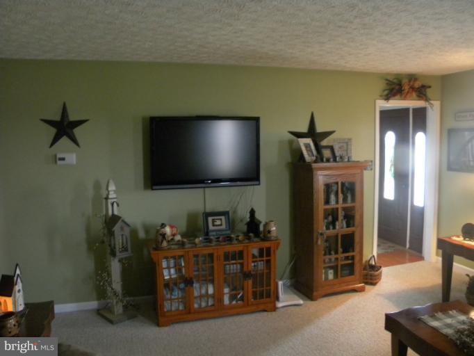 2930 Apple Pie Ridge Road Winchester, VA 22603 - Photo 14 of 24 a living room with furniture and a flat screen tv