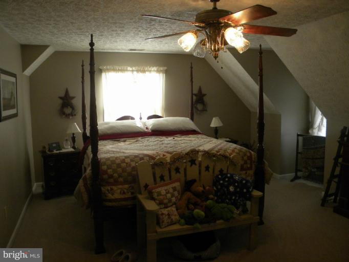 2930 Apple Pie Ridge Road Winchester, VA 22603 - Photo 6 of 24 a bedroom with a bed and a mirror