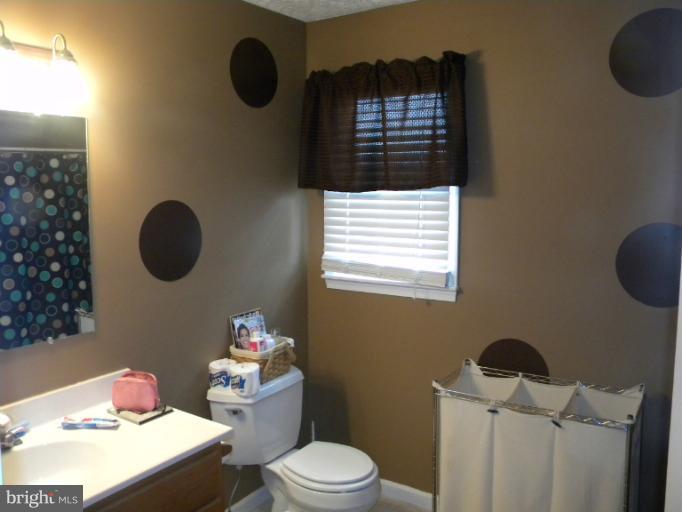 2930 Apple Pie Ridge Road Winchester, VA 22603 - Photo 9 of 24 a bathroom with a sink mirror vanity and toilet