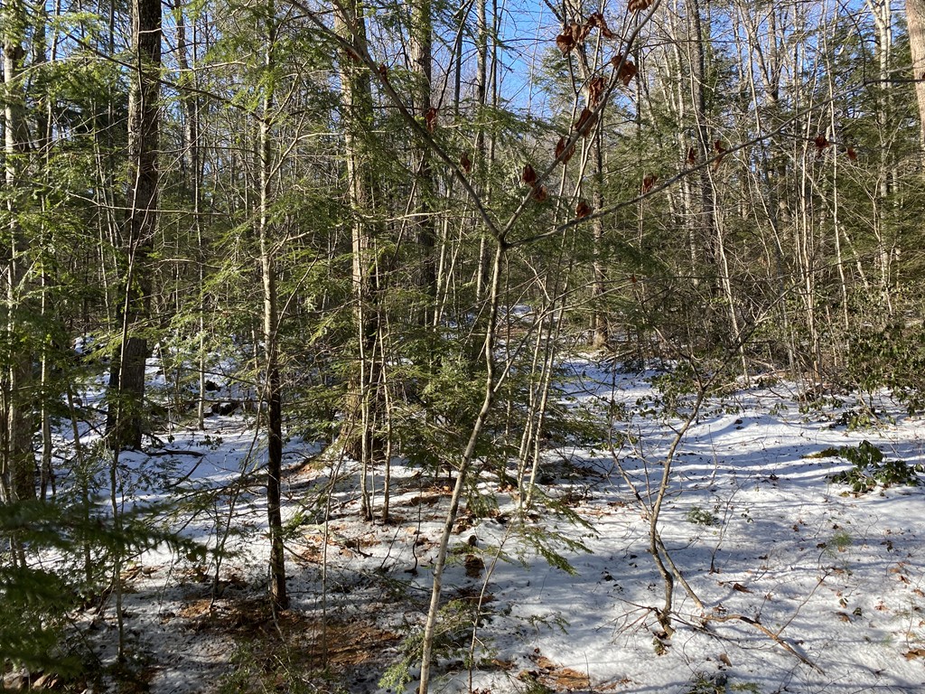 28 Crooked Ledge Road Southampton, MA 01073 - Photo 13 of 15