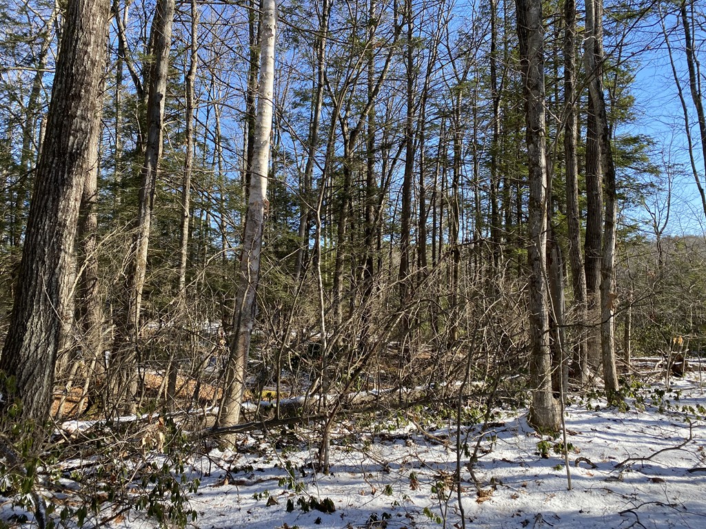 28 Crooked Ledge Road Southampton, MA 01073 - Photo 15 of 15