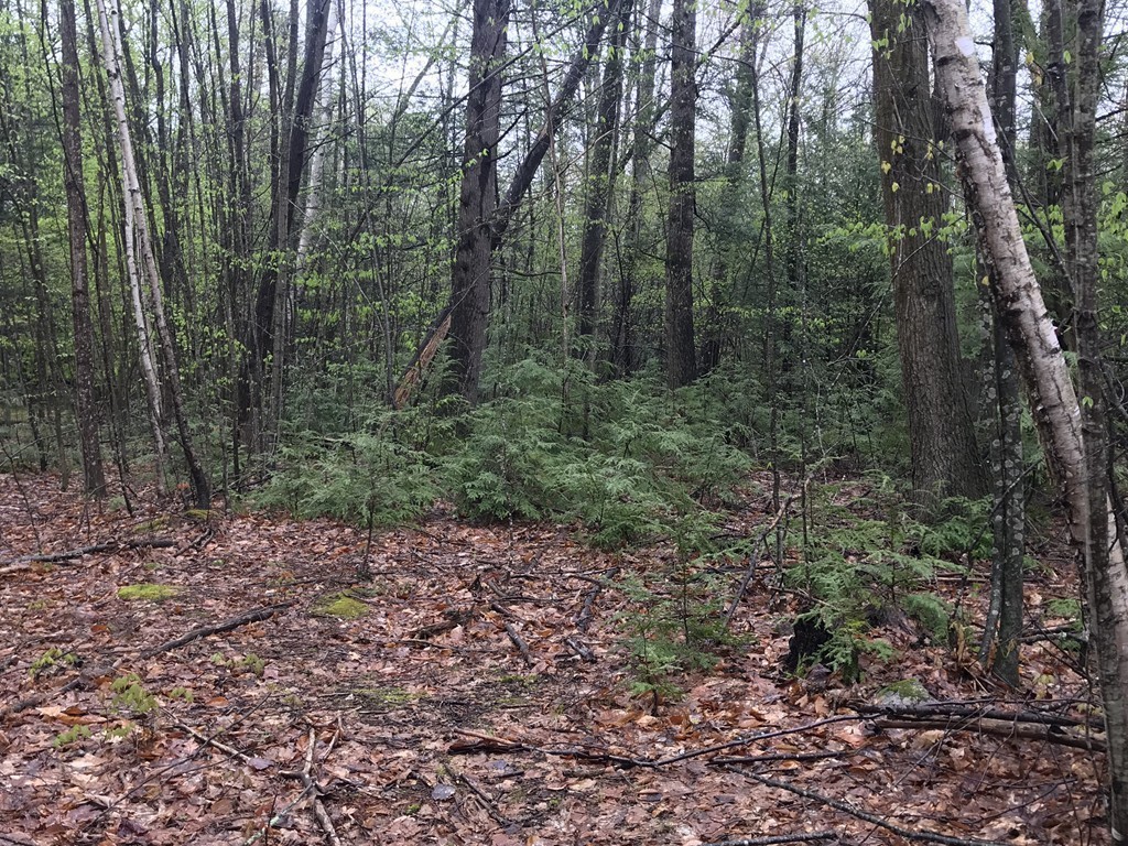 28 Crooked Ledge Road Southampton, MA 01073 - Photo 8 of 15