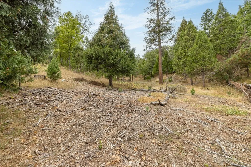 26 Timberview Road North Fork, CA 93643 - Photo 24 of 60