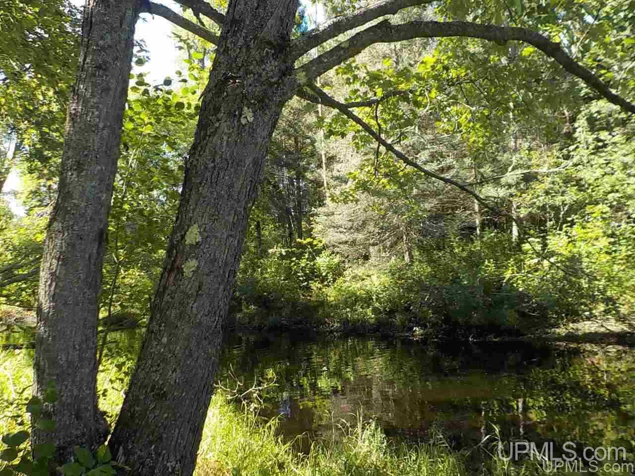Tbd Parks Farm Road Iron River, MI 49920 - Photo 12 of 31