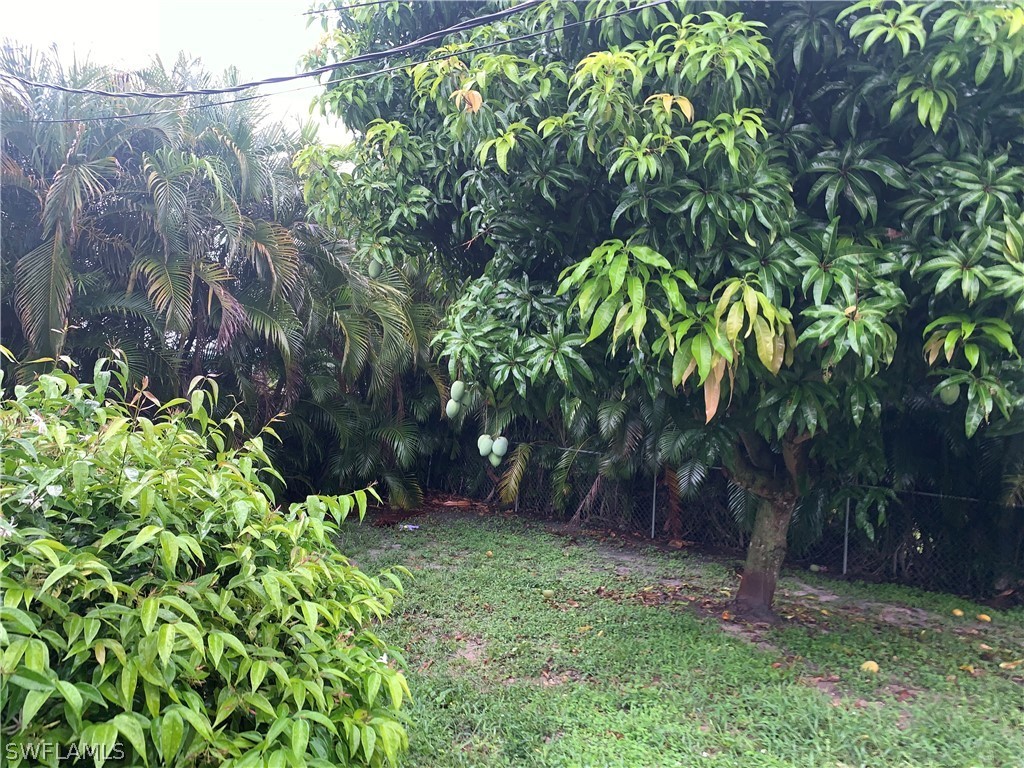 18599 Flamingo Road Fort Myers, FL 33967 - Photo 25 of 30 a backyard of a house with lots of green space