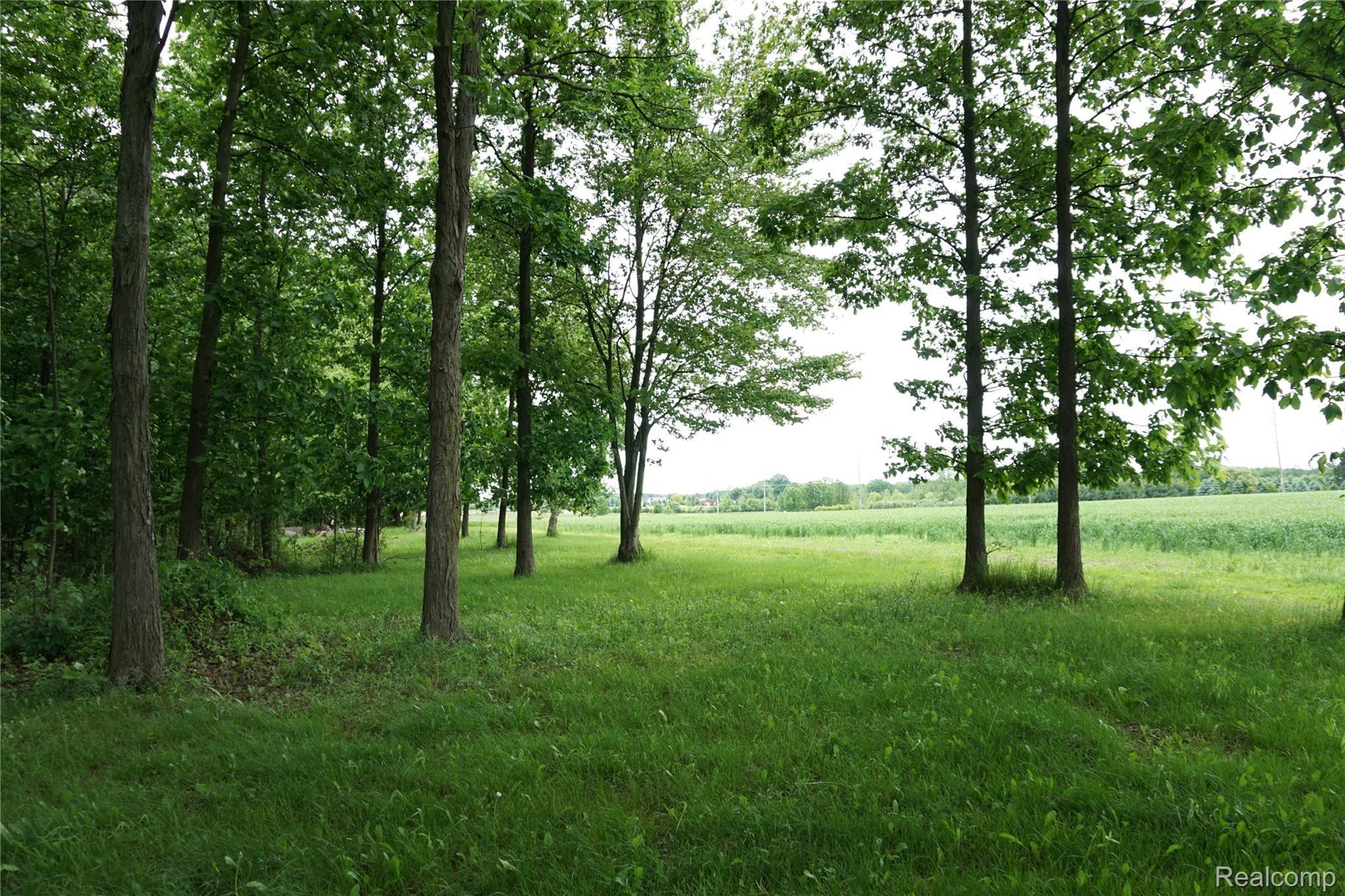 8866 Bricker Road Avoca, MI 48006 - Photo 42 of 51 8866 Bricker