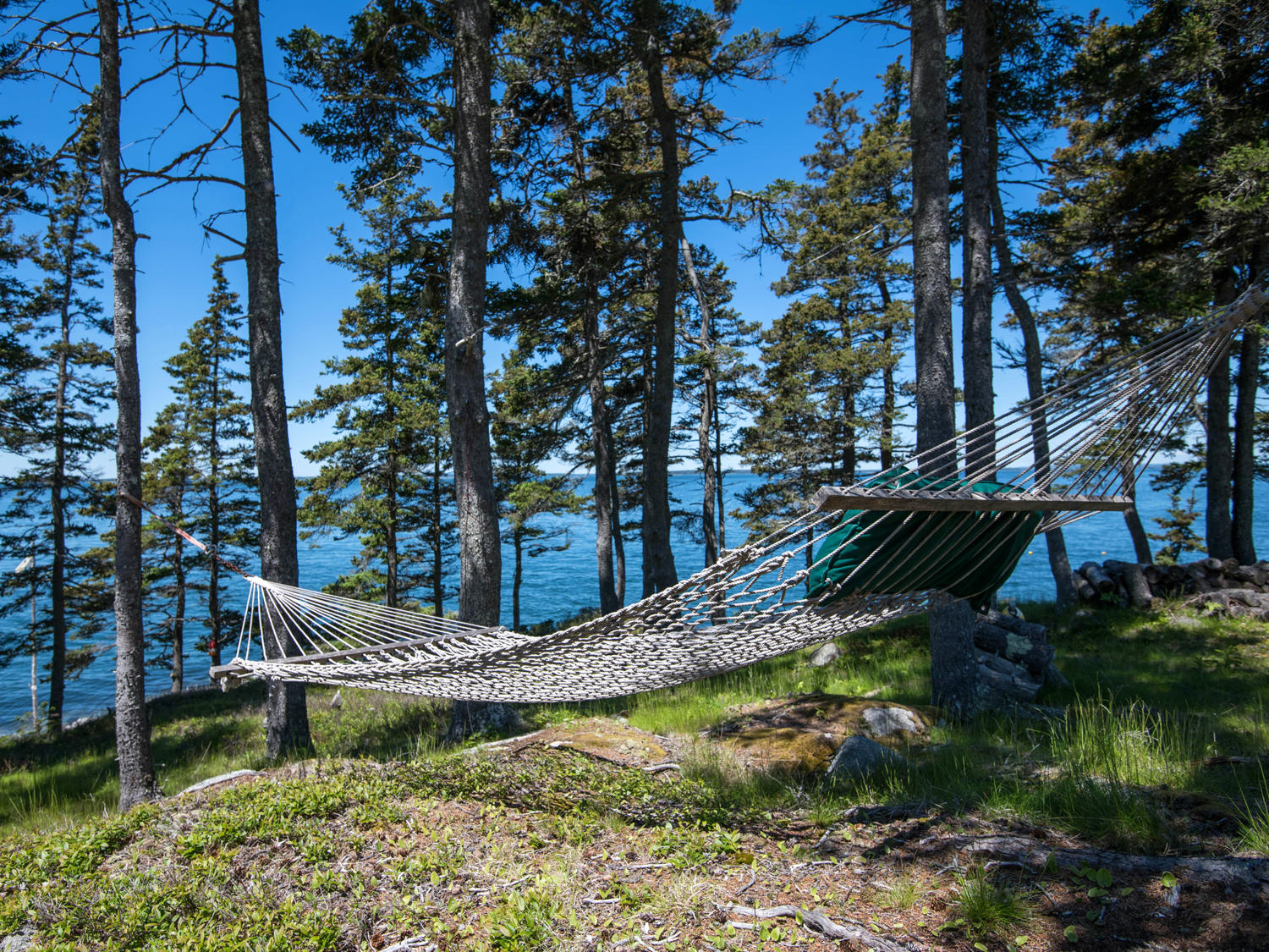 533 Jericho Bay Road Swans Island, ME 04685 - Photo 35 of 44 Hammock