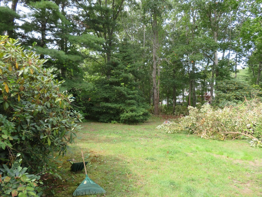0 Wilson Road Marion, MA 02738 - Photo 5 of 12 Gallery Image 5