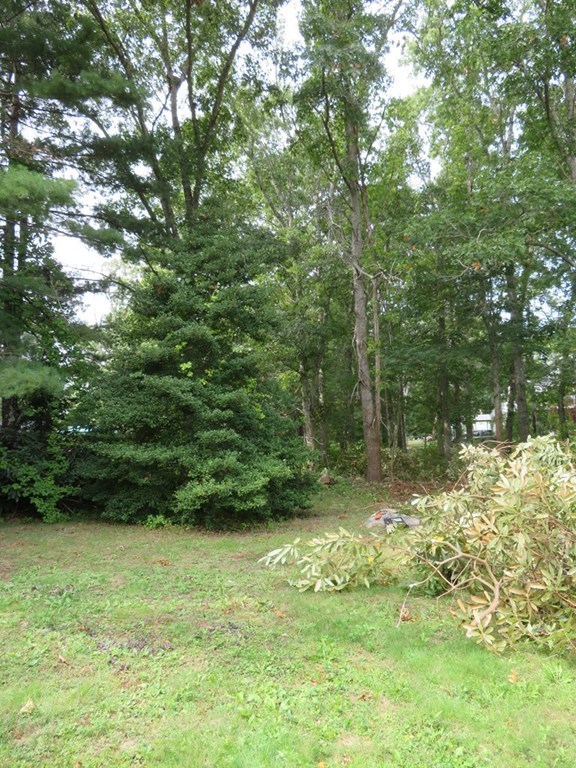 0 Wilson Road Marion, MA 02738 - Photo 6 of 12 Gallery Image 6