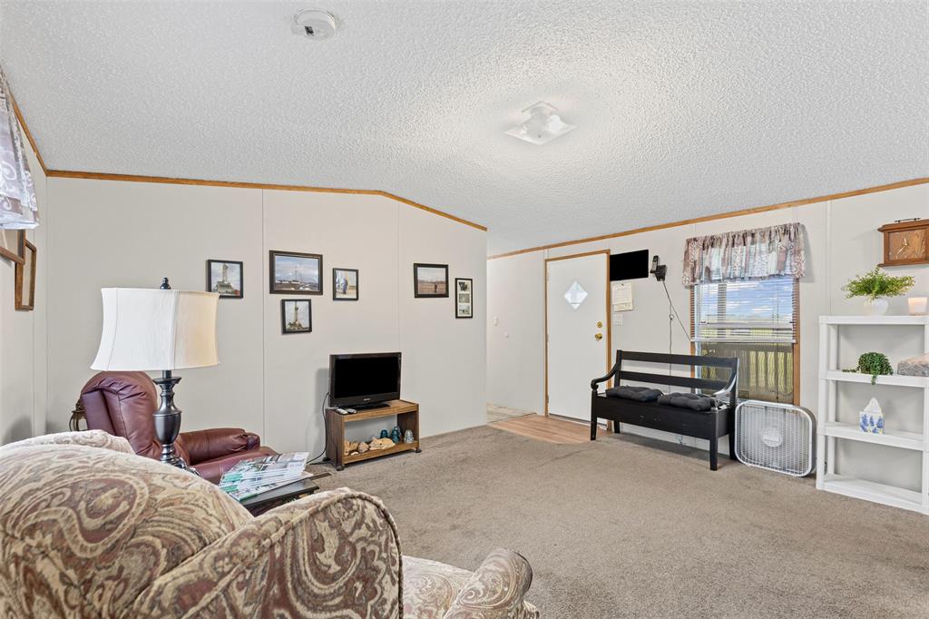 167 Hcr 4105 Covington, TX 76636 - Photo 14 of 32 Living room with carpet, crown molding, a textured ceiling, and vaulted ceiling