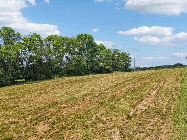 a view of a yard with an outdoor space