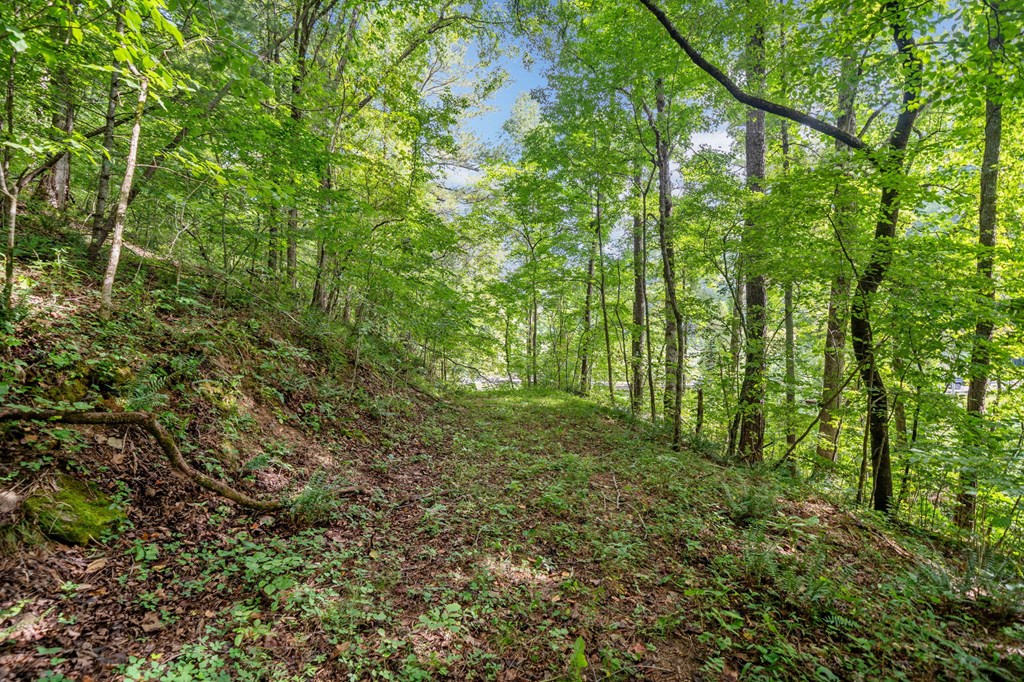 3.11-ac Cove Road Jasper, GA 30143 - Photo 14 of 15