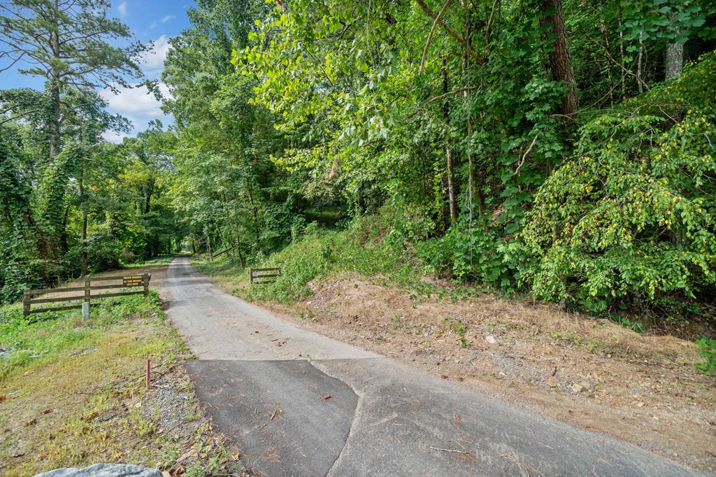 3.11-ac Cove Road Jasper, GA 30143 - Photo 15 of 15