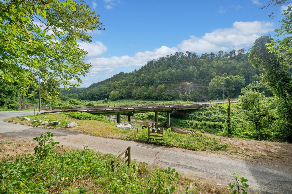3.11-ac Cove Road Jasper, GA 30143 - Photo 2 of 15
