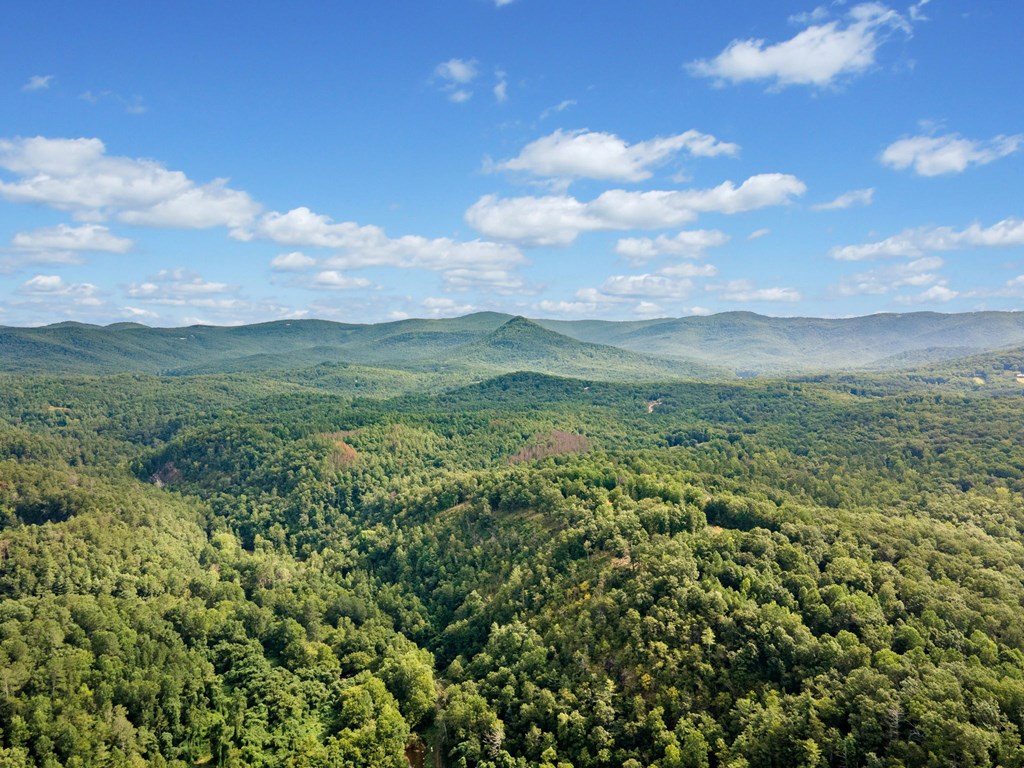 3.11-ac Cove Road Jasper, GA 30143 - Photo 6 of 15