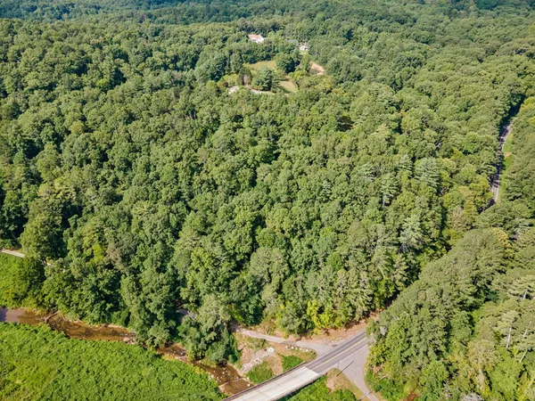 a view of a lush green forest