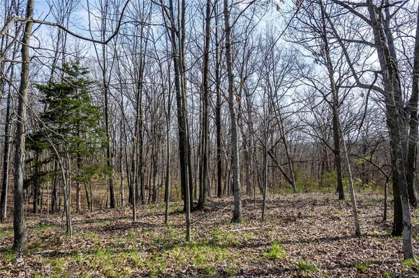 $1 | 10550 Hwy A, Higbee, MO 65257
