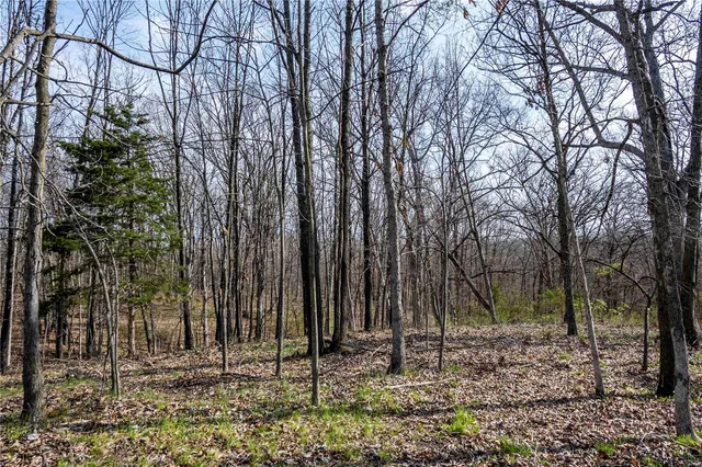 $1 | 10550 Hwy A, Higbee, MO 65257