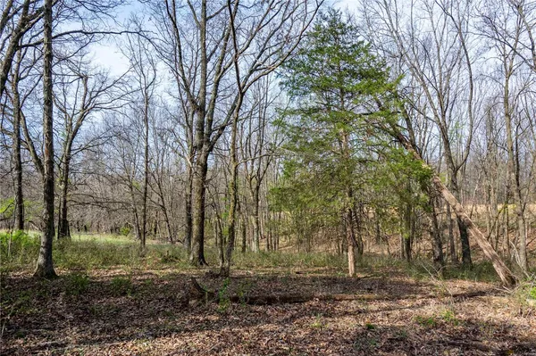 $1 | 10550 Hwy A, Higbee, MO 65257