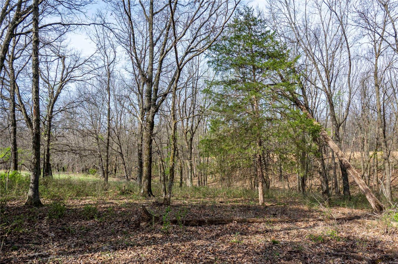 10550 Hwy A Higbee, MO 65257 - Photo 97 of 99