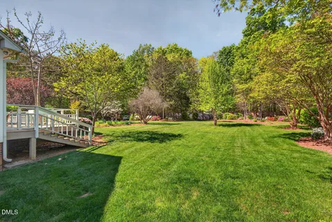 a view of backyard with wooden fence and a large tree