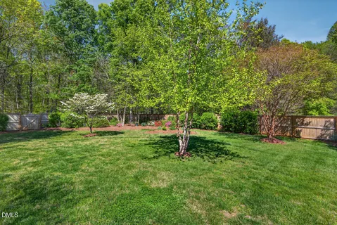 a view of a backyard with a large tree