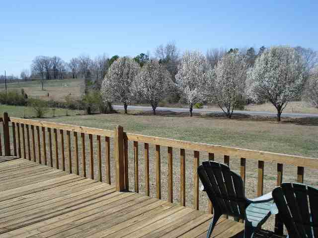 929 Martin Road Starr, SC 29684 - Photo 3 of 9