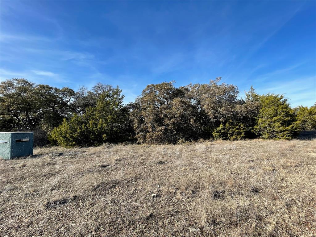 4986 County Road 607 Hamilton, TX 76531 - Photo 16 of 34 a view of a dry yard with trees