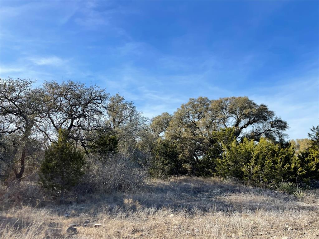 4986 County Road 607 Hamilton, TX 76531 - Photo 23 of 34 a view of a yard