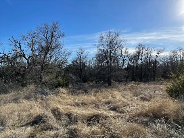 a view of a dry yard with trees in the background