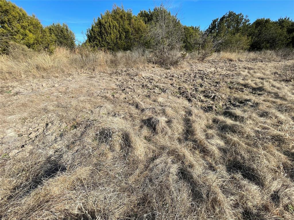 4986 County Road 607 Hamilton, TX 76531 - Photo 27 of 34 a view of a dry yard with trees in the background