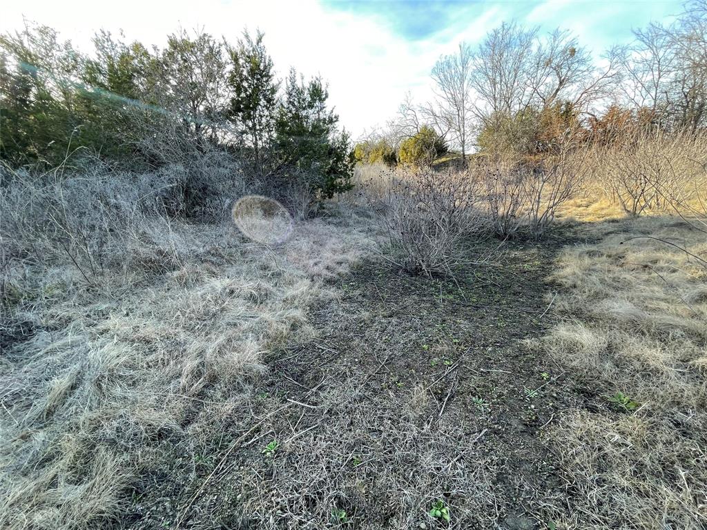 4986 County Road 607 Hamilton, TX 76531 - Photo 30 of 34 a backyard of a house with lots of green space