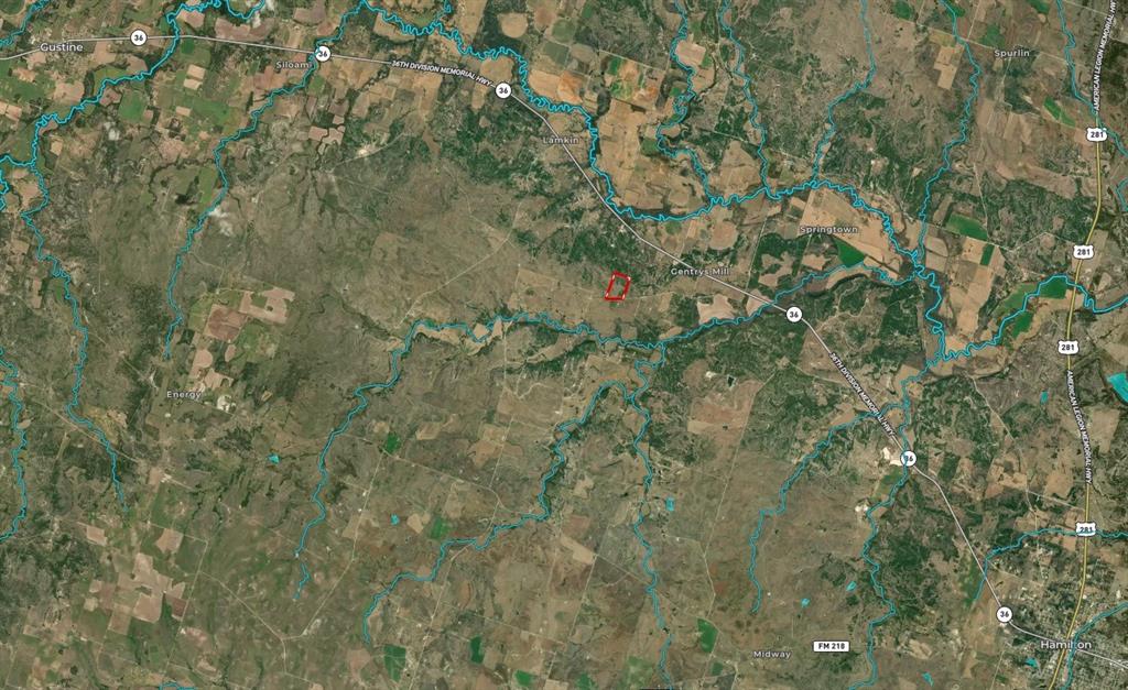 4986 County Road 607 Hamilton, TX 76531 - Photo 32 of 34 a close up of a plant