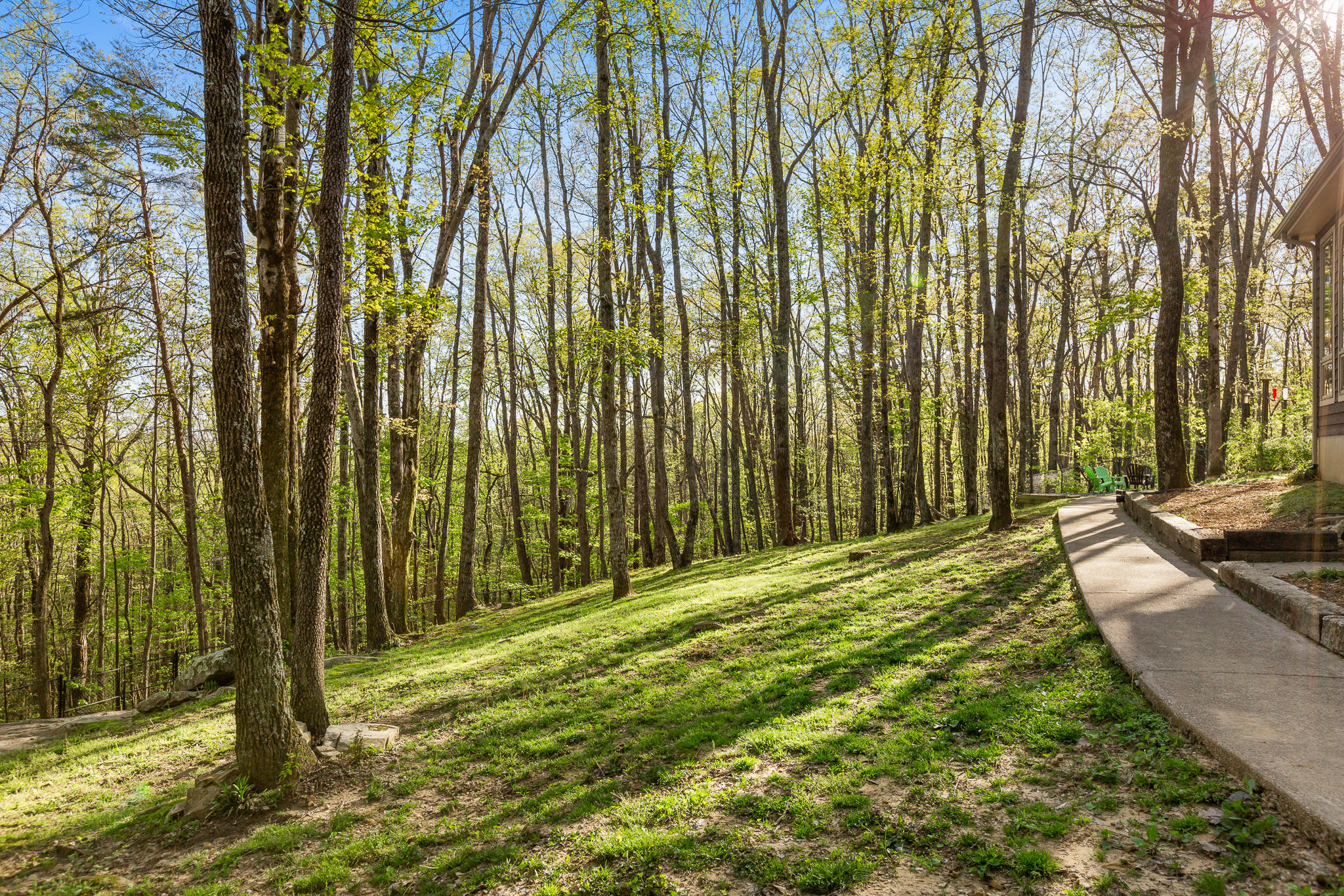 2930 Kell Road Signal Mountain, TN 37377 - Photo 28 of 42 Back yard