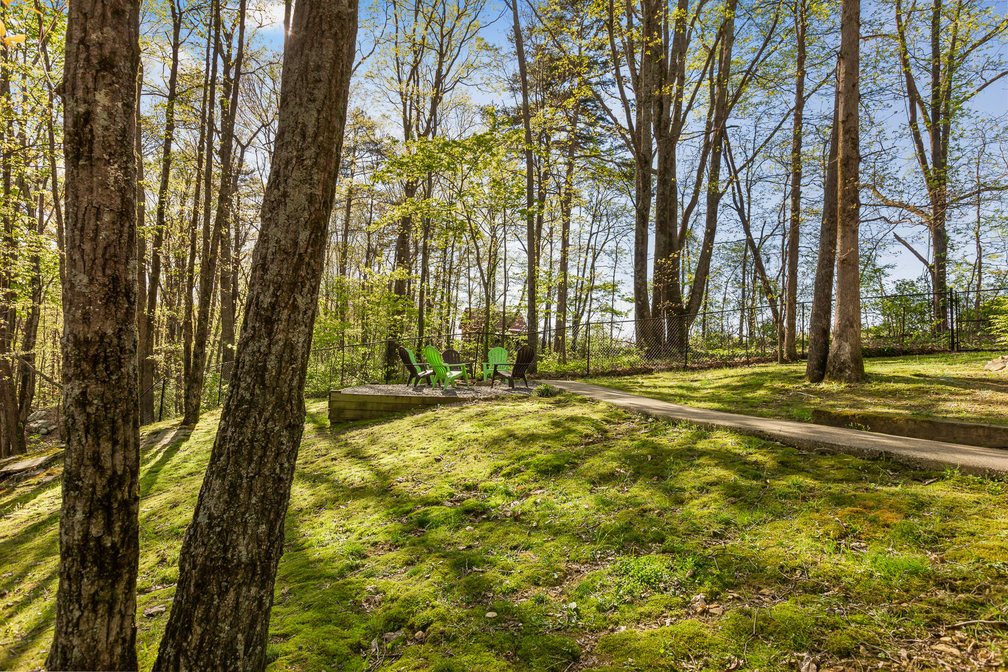 2930 Kell Road Signal Mountain, TN 37377 - Photo 30 of 42 Back yard