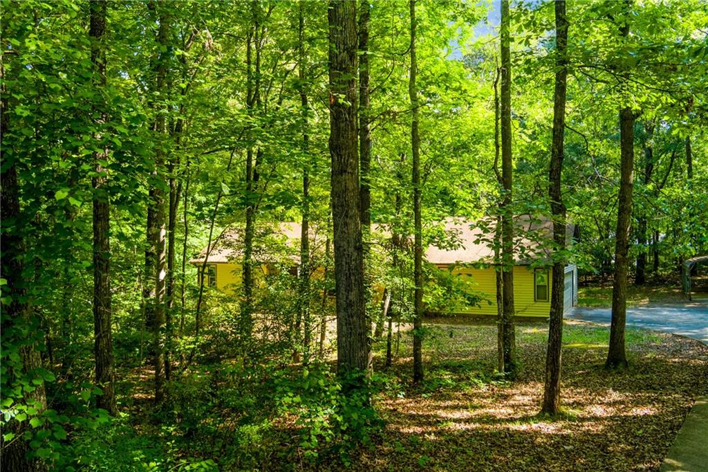 130 Windhaven Court Stockbridge, GA 30281 - Photo 38 of 45