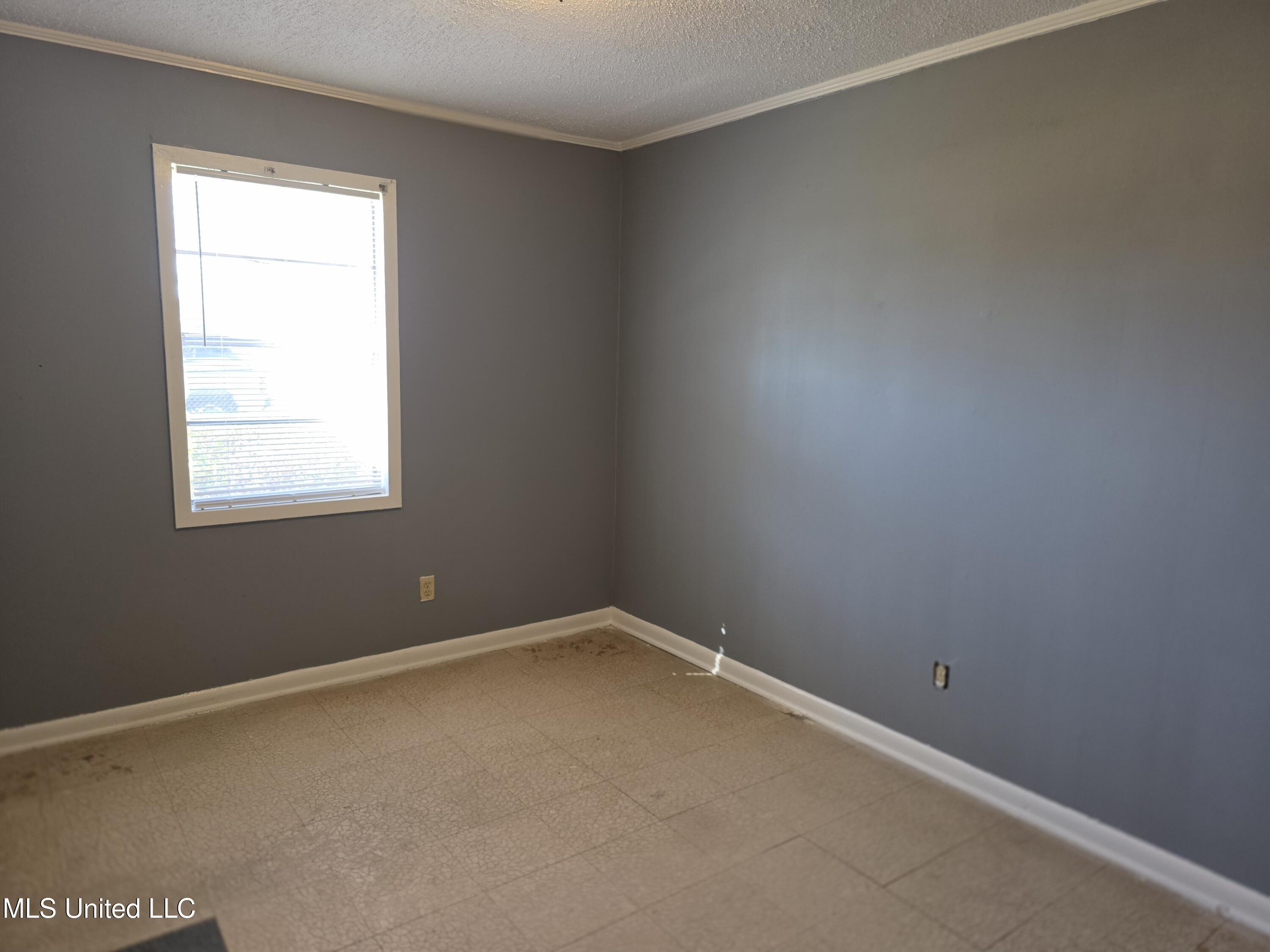 210 Johnson Street Belzoni, MS 39038 - Photo 10 of 15 20260116_121915