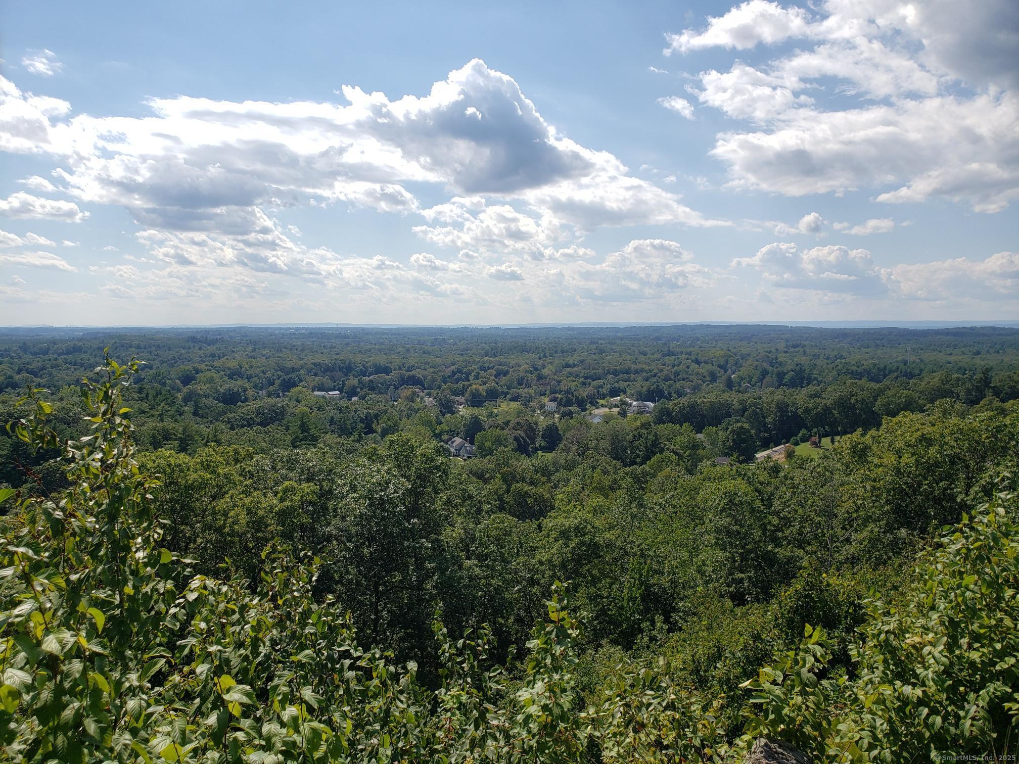 an aerial view of houses covered in trees