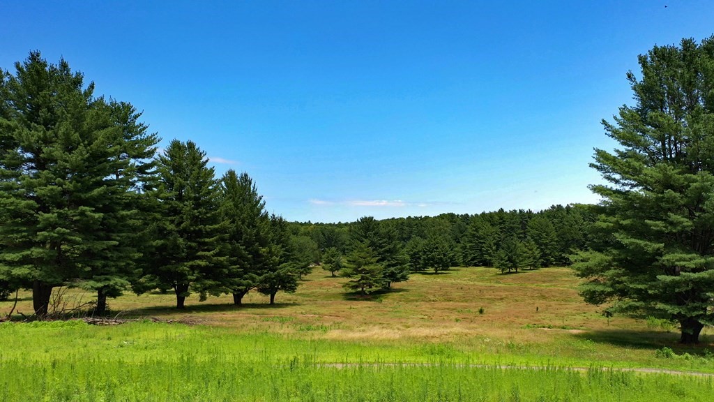 258 Old Wilson Road Northampton, MA 01062 - Photo 1 of 3 a view of green field with trees in the background