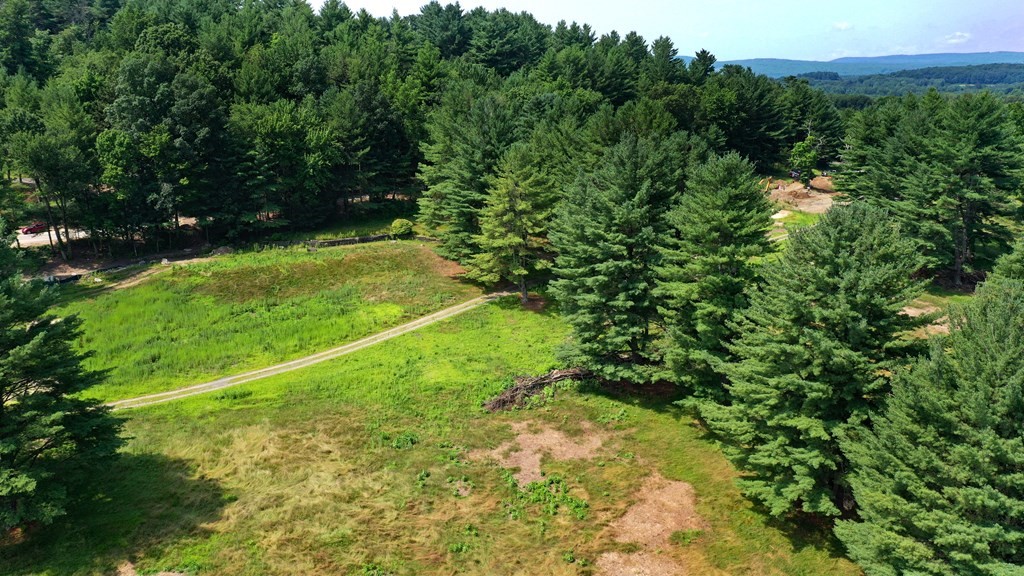 258 Old Wilson Road Northampton, MA 01062 - Photo 2 of 3 a view of a field with plants and a trees
