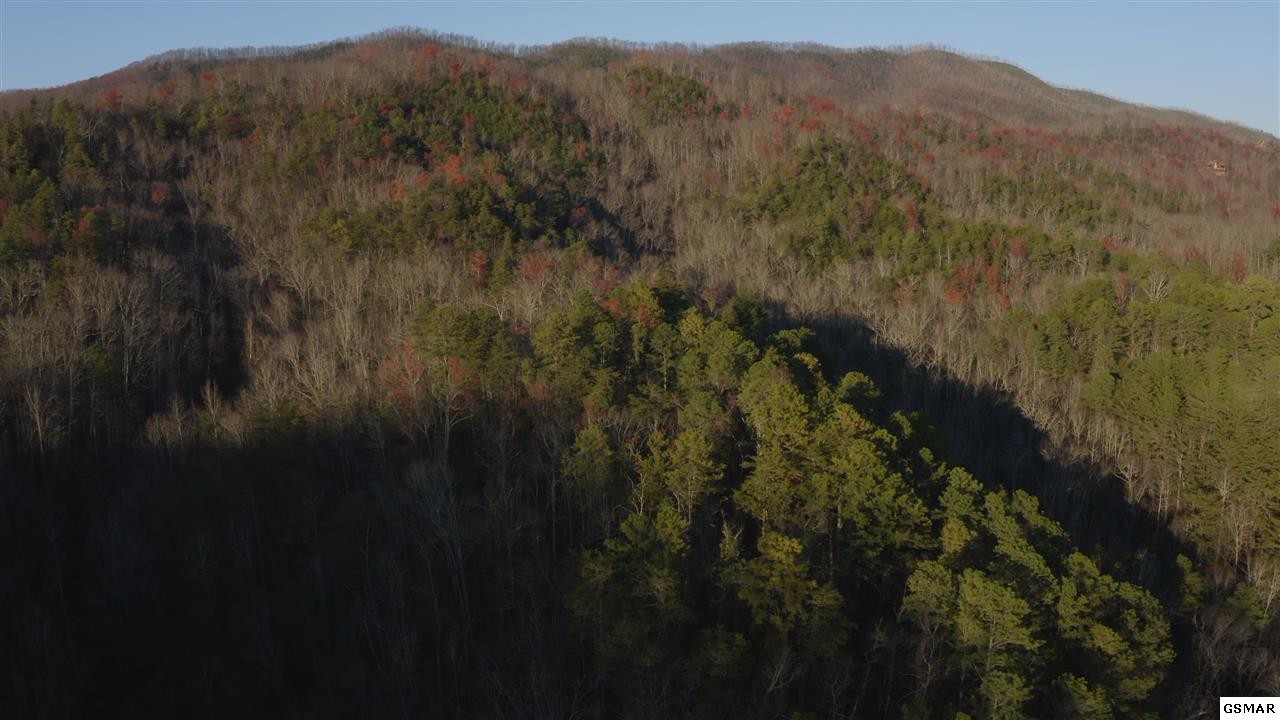 314 Hickey Road Sevierville, TN 37876 - Photo 18 of 36