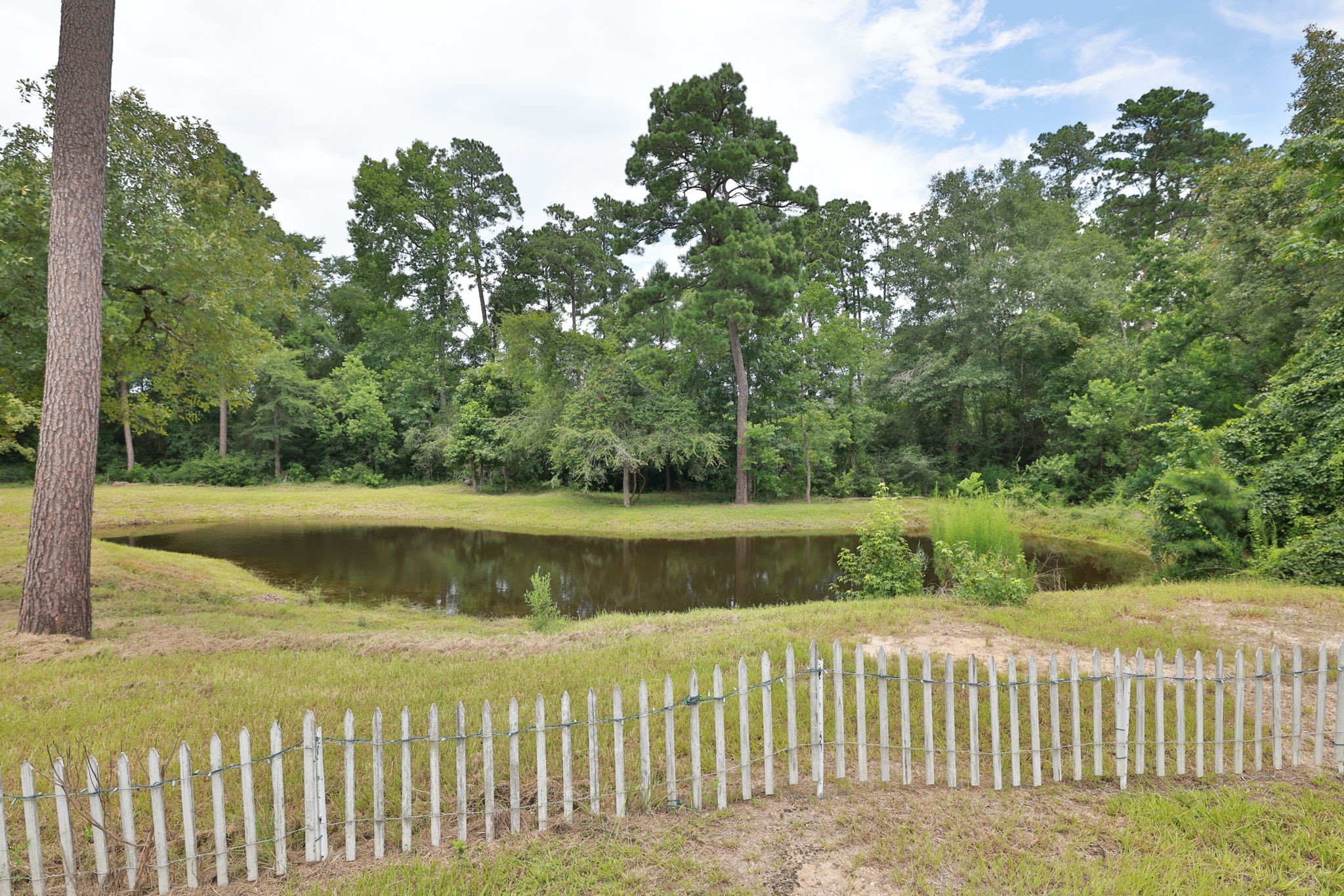 33940 Ansley Road Magnolia, TX 77355 - Photo 5 of 30 Gallery Image 5