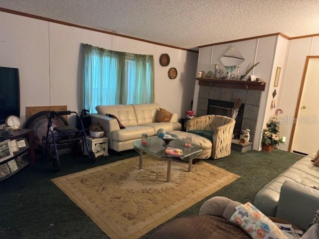 6721 Coronet Road Lakeland, FL 33811 - Photo 18 of 63 a living room with furniture and a fireplace