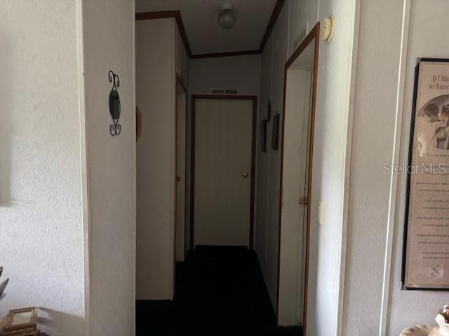 6721 Coronet Road Lakeland, FL 33811 - Photo 20 of 63 a view of a closet