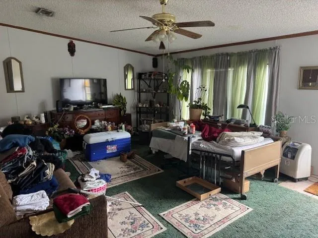 a living room with lots of furniture and window